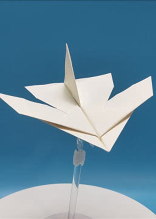 纸飞机加速器-纸飞机加速器永久免费版