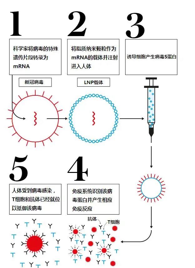 telegraph用户名密码登录-telegram username