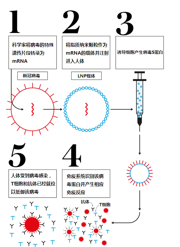 关于telegraph网页版退出登陆的信息