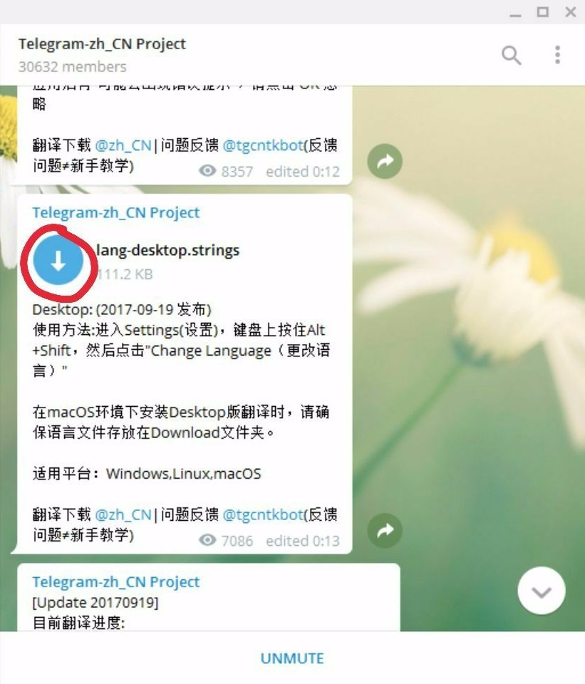 telegreat群怎么置顶-telegram怎么看置顶公告