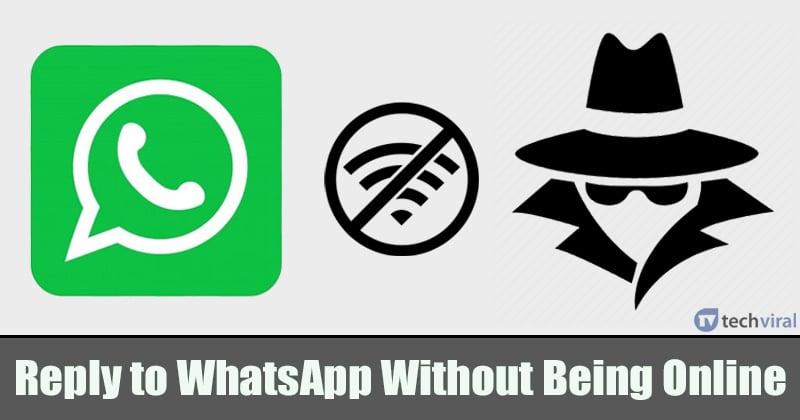 whatsapp安卓下载官网-whatsapp官方安卓下载安装