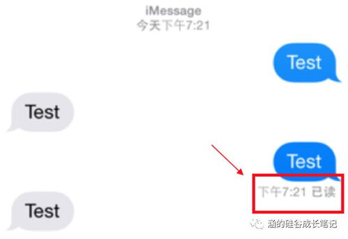 whatsapp哪个国家用-用whatsapp的国家有哪些