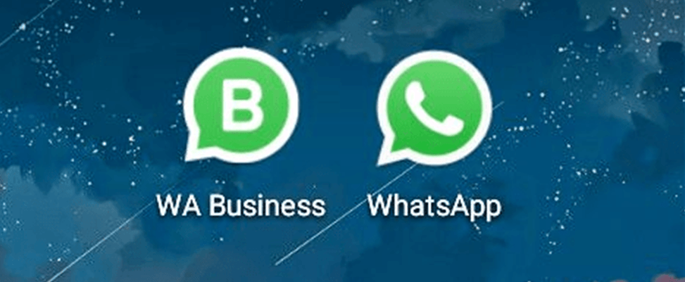 whatsapp官网-whatsapp官网网页版