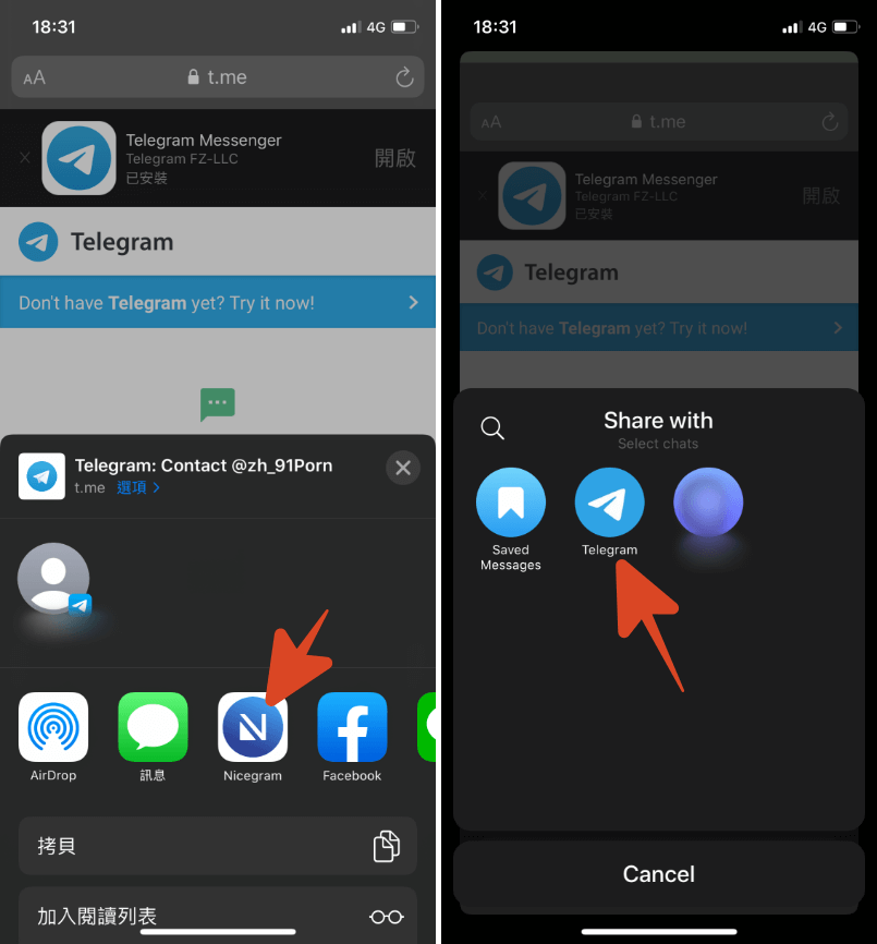 ios登录telegram-telegram登录已有账号