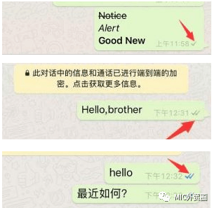 whatsapp对比微信哪个好用-whatsapp与wechat对比