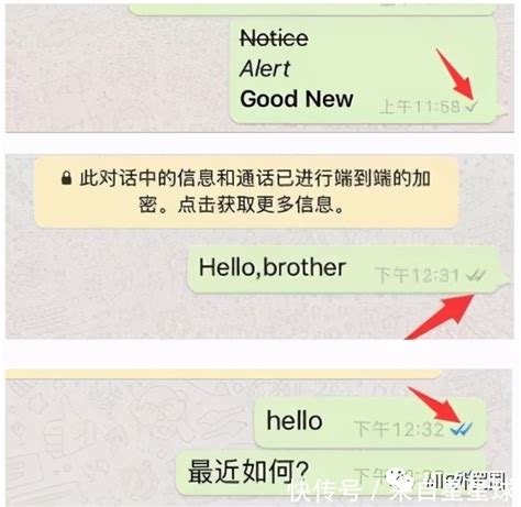 whatsapp在国内用不了-whatsapp在国内怎么无法连接网络