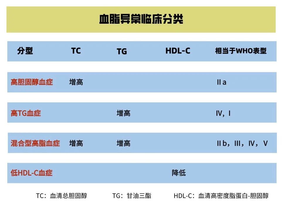 TG高于多少称为高血脂-成人TC高于多少称为高血脂