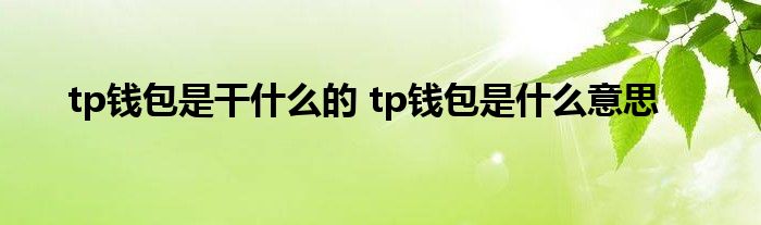 tp钱包被套路-tp钱包会不会被盗