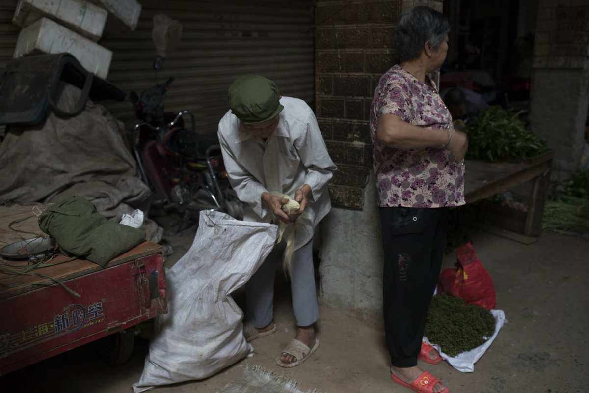 周大爷是电报员吗-电报员周大爷百度号