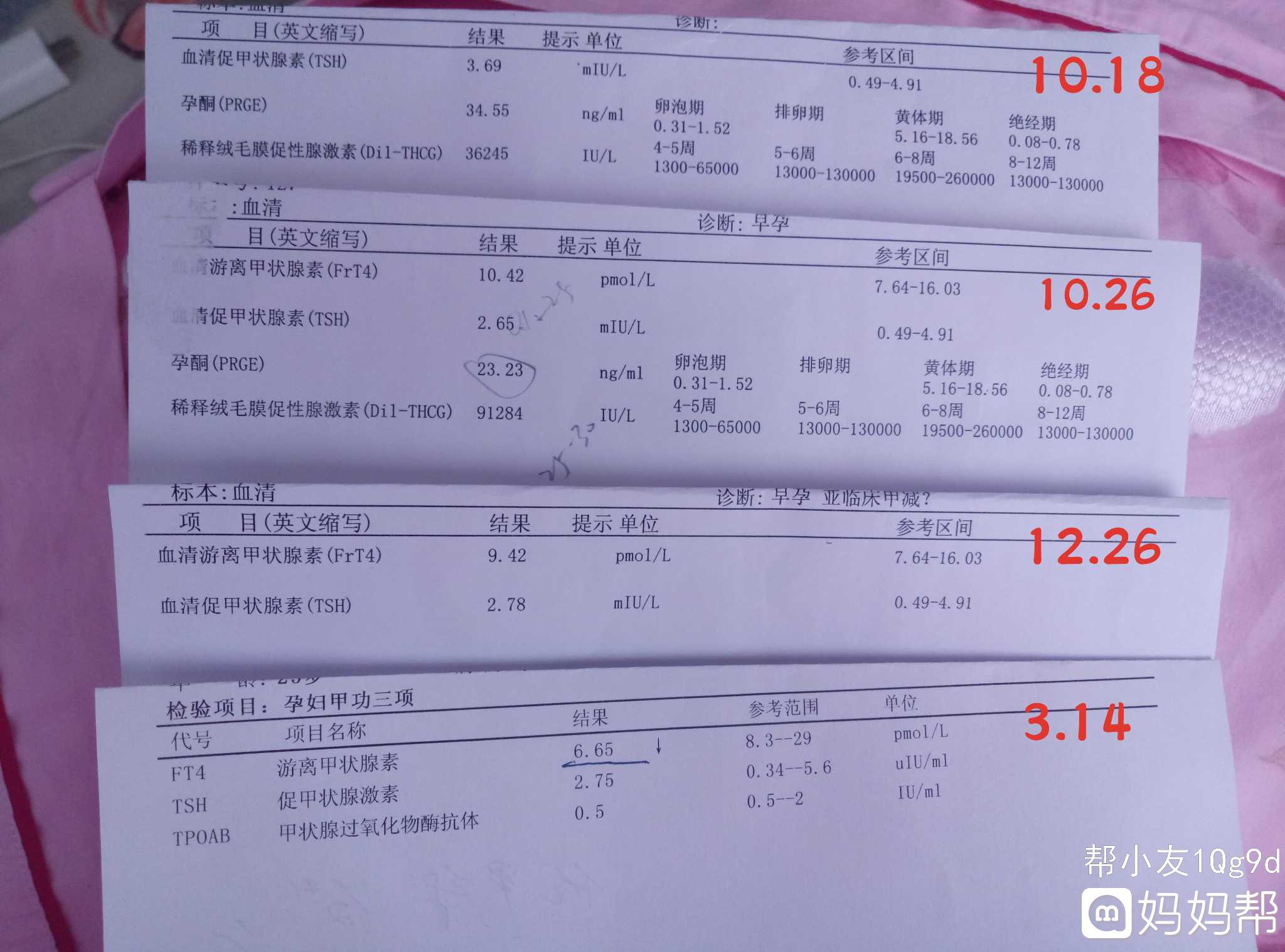 关于TGtpo偏高怎么办的信息