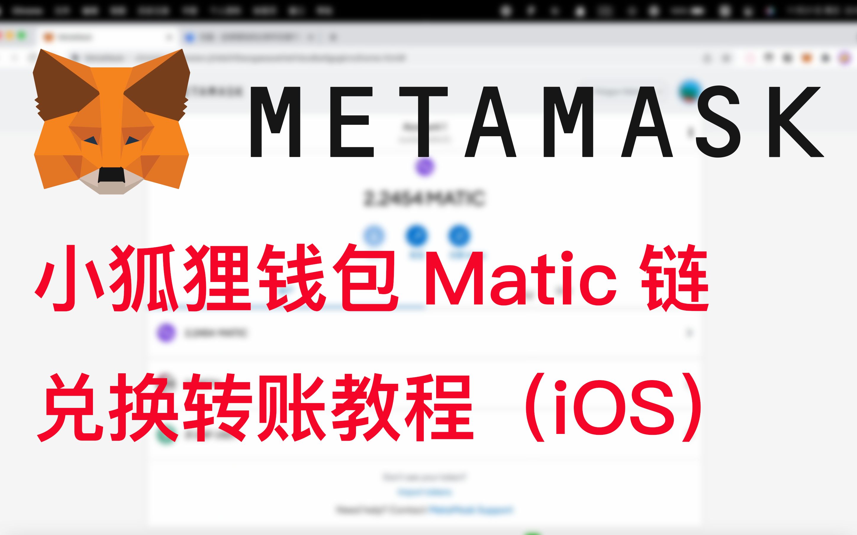 metamask钱包怎么升级-metamask钱包怎么设置中文