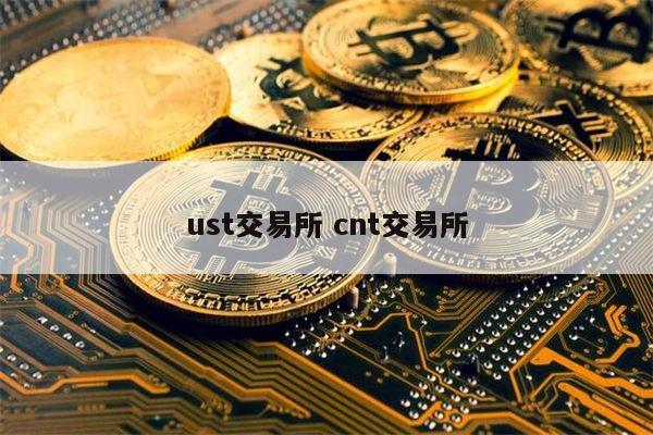 usdt在中国受法律保护吗-usdt交易中国合法吗好出售