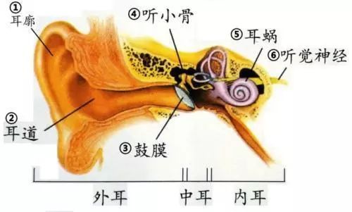 耳朵能听见类似打电报的声音-耳朵能听见类似打电报的声音是什么