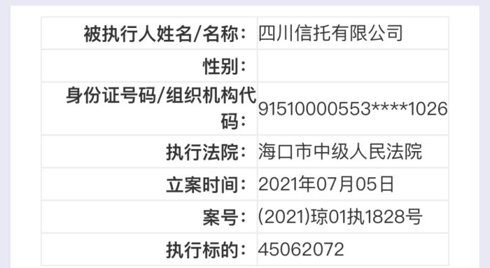 中国执行信息公开网-中国执行信息公开网在线查询