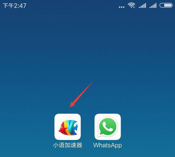 关于为什么whatsapp连接不上我的手机号码的信息