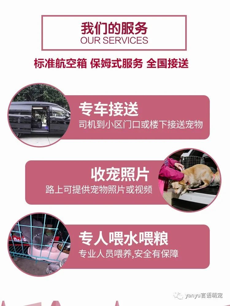 宠物托运能到付吗?-宠物托运可以到付运费吗