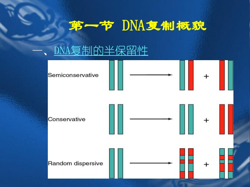 Telomere-telomeres翻译