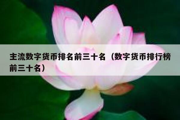 虚拟币可以花吗,虚拟币可以提现到微信吗