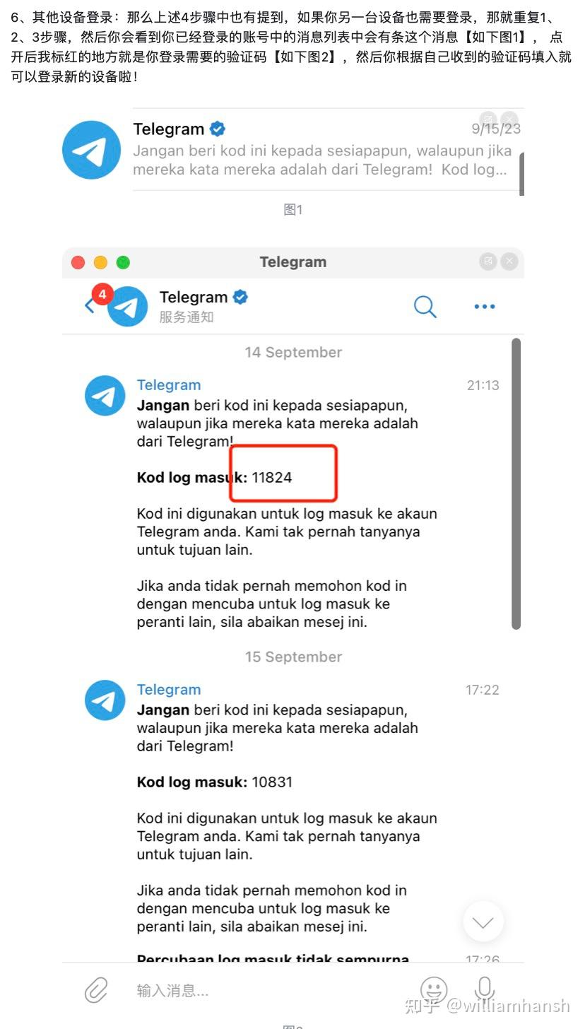 中国怎么使用Telegram,中国人玩telegram犯法吗