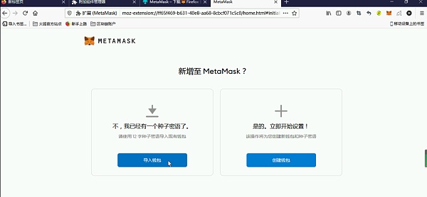 狐狸钱包app怎么设置中文,狐狸钱包app怎么设置中文模式