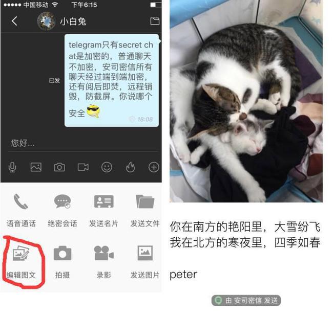 telegraph同款软件,telegraph最新版本下载