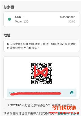 usdttrc20怎么充值,usdt trc20怎么支付