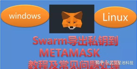 小狐狸钱包官方网站metamask,metamask小狐狸钱包app下载