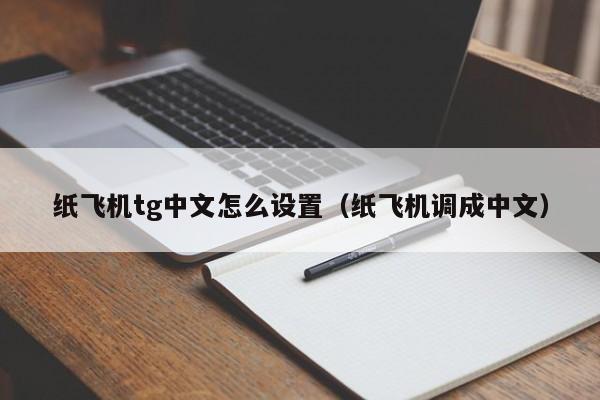 苹果版纸飞机怎么调成中文,苹果纸飞机怎么弄成中文版的