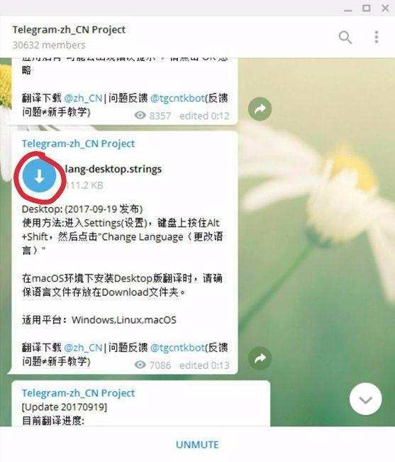 Telegram新手怎么用,telegram新手入门指南