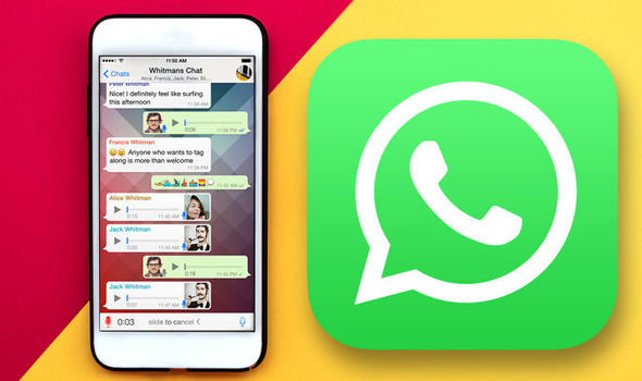 whatsapp,whatsapp最新版本下载2024