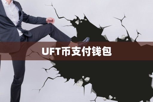 usdt提到钱包,usdt提现人民币