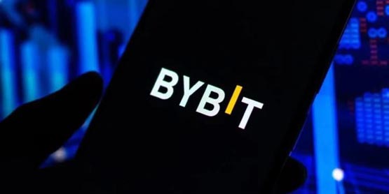 bybit钱包,bybit是哪家公司