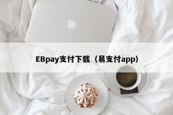 ebpay钱包支付下载,ebpay钱包支付下载ios