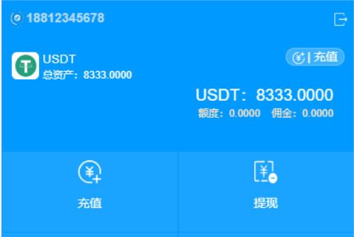 usdt余额图片,usdt里面的钱怎么转入银行卡