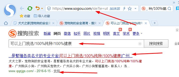 搜狗搜索引擎网页,搜狗搜索引擎网页网址是多少
