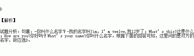 what中文叫什么名字,what中文叫什么名字英文