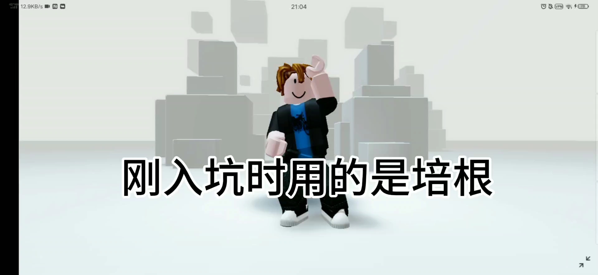 roblox注入器怎么用,roblox注入器怎么用脚本