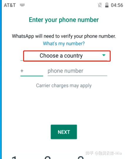 whatsapp在哪些国家比较受欢迎的简单介绍