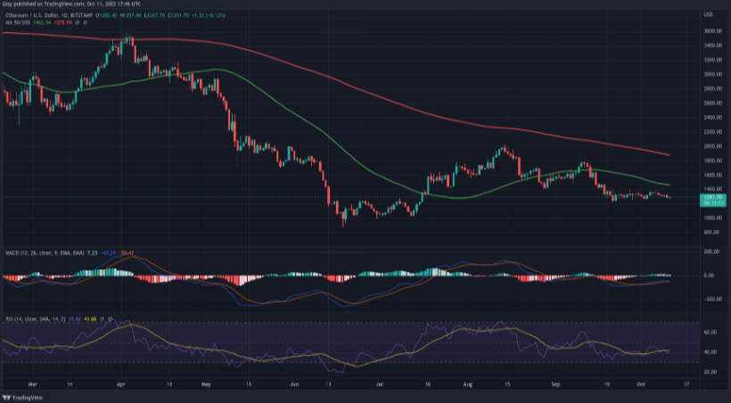 CBC币分红,cbcoin币有大涨的可能吗