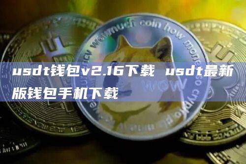 usdt用什么钱包,usdt用什么平台交易比较好