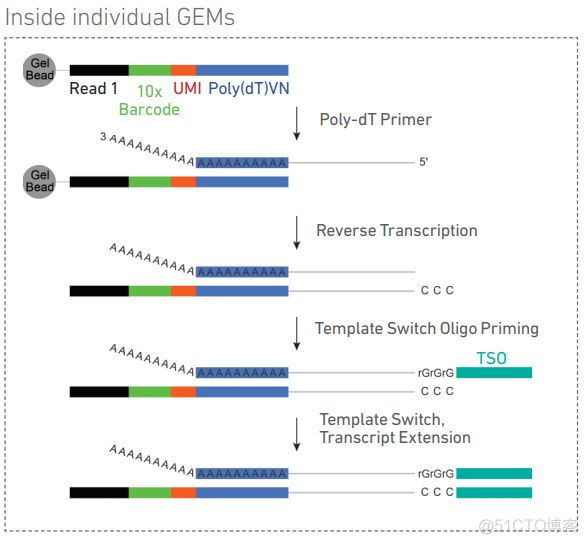 truseq,TruSeqTM DNA Sample Prep Kit