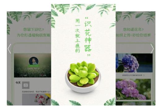 给你花app苹果版,给你花app苹果版下载官网