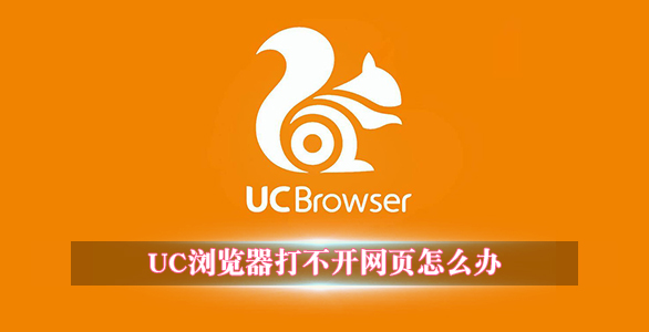 uc浏览器搜索不了是怎么回事,uc浏览器怎么搜不到那种网站了