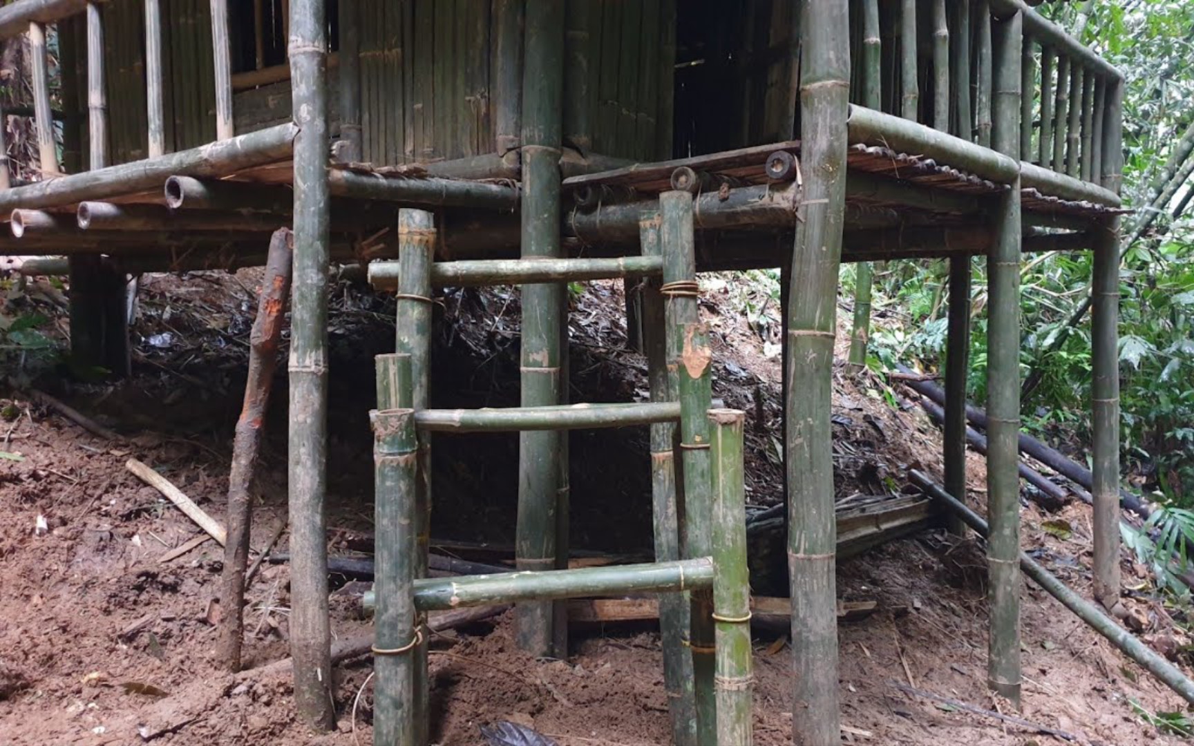 电脑搭建梯子,电脑搭梯子比较好的软件