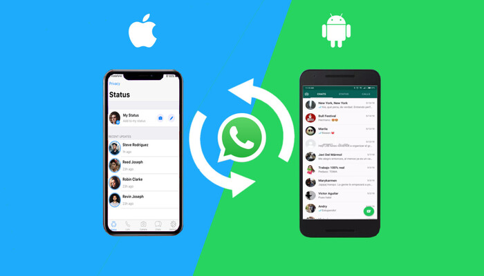 whatsapp照片原图,whatsapp发出的照片很模糊