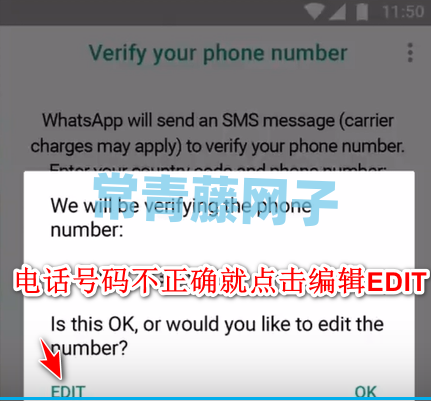 关于whatsapp文件为什么下载不了的信息