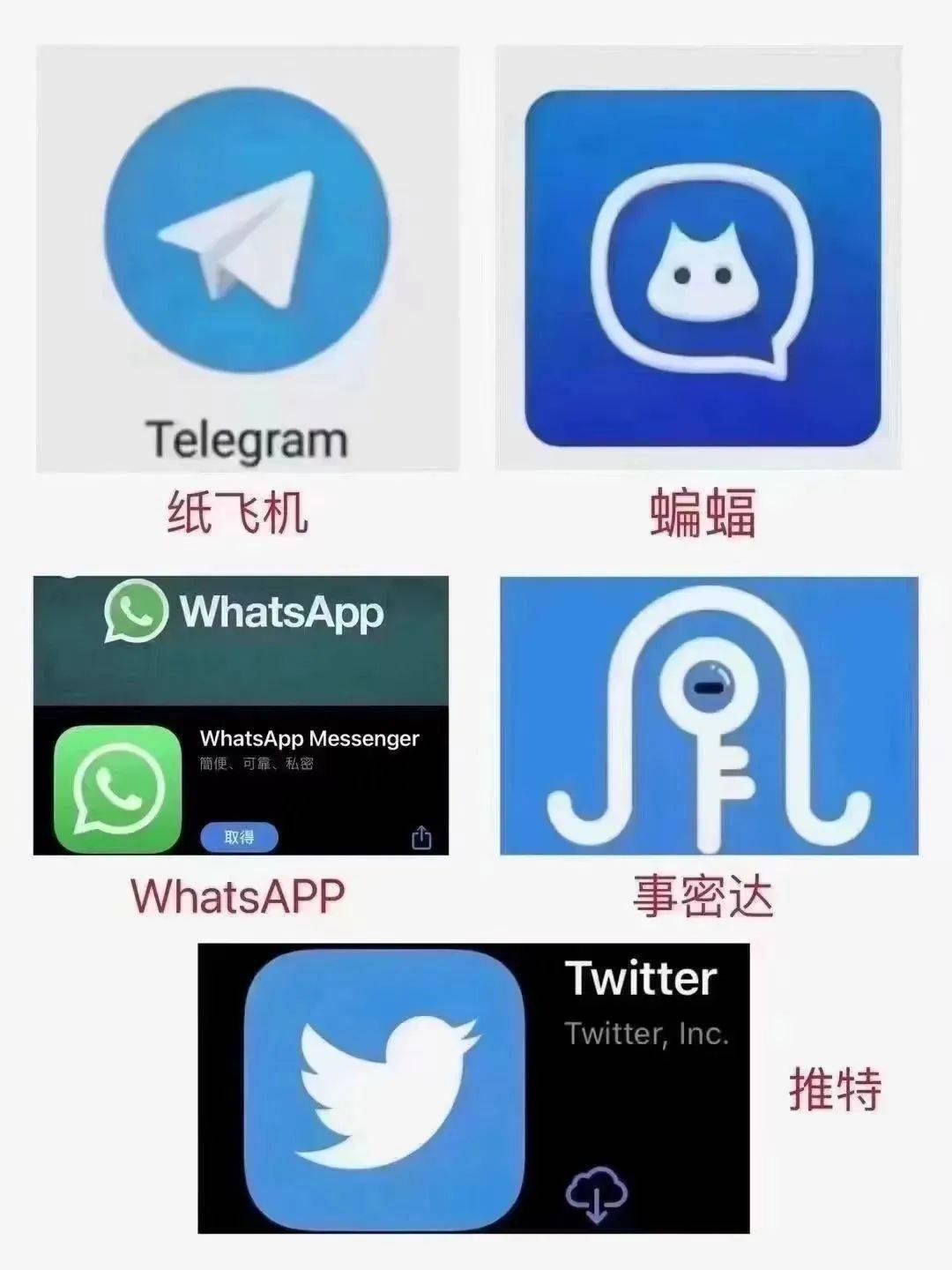 纸飞机聊天下载app,纸飞机app聊天软件下载站