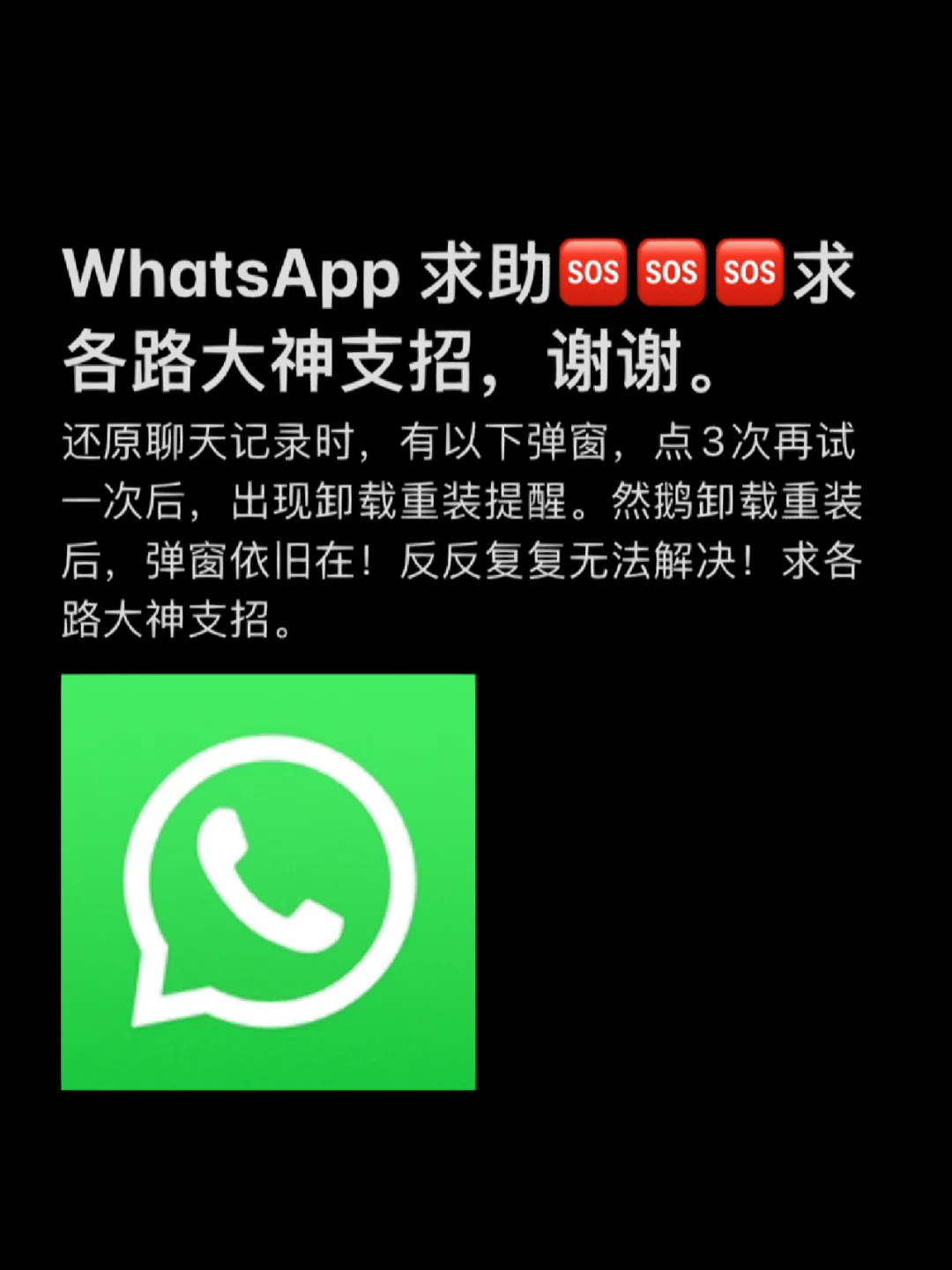 whatsapp官网安卓手机版,whatsapp安卓手机版下载v2