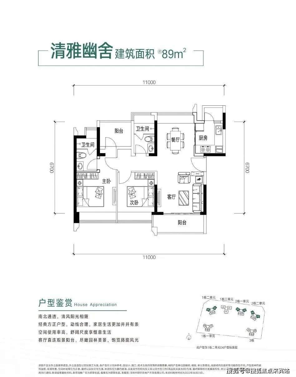 国外网络梯子,上国外网站的梯子