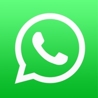 whatsapp不能下载文件,whatsapp为什么下载不了图片